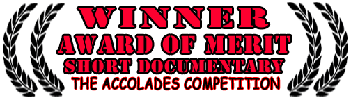 WOS accolades